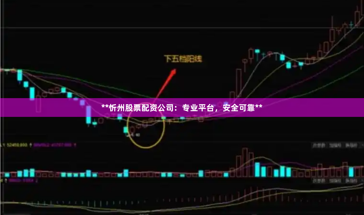 **忻州股票配资公司：专业平台，安全可靠**