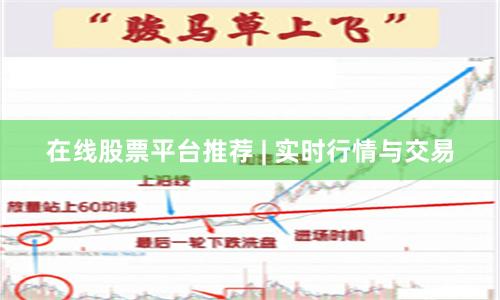 在线股票平台推荐 | 实时行情与交易