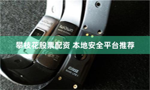 攀枝花股票配资 本地安全平台推荐