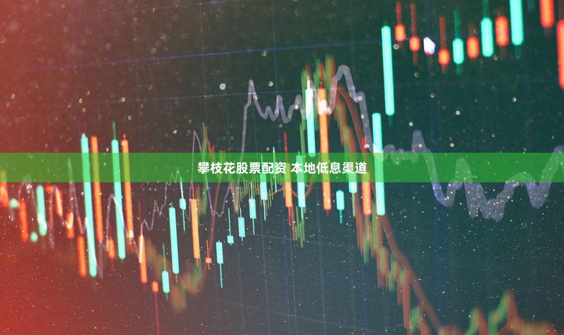 攀枝花股票配资 本地低息渠道